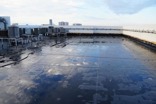 silver-thatch-intracoastal-19