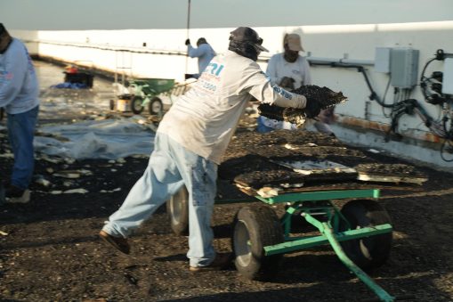 silver-thatch-intracoastal-27