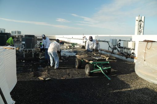 silver-thatch-intracoastal-28