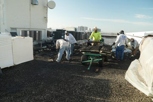 silver-thatch-intracoastal-30