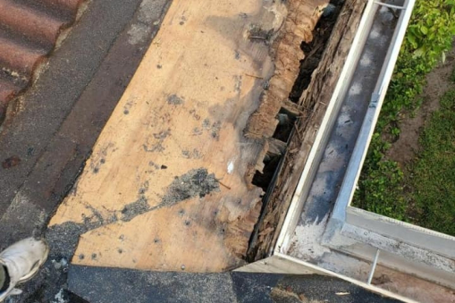 Rooted Wood on Roof Needing Commercial Roof Repairs in Fort Lauderdale, FL